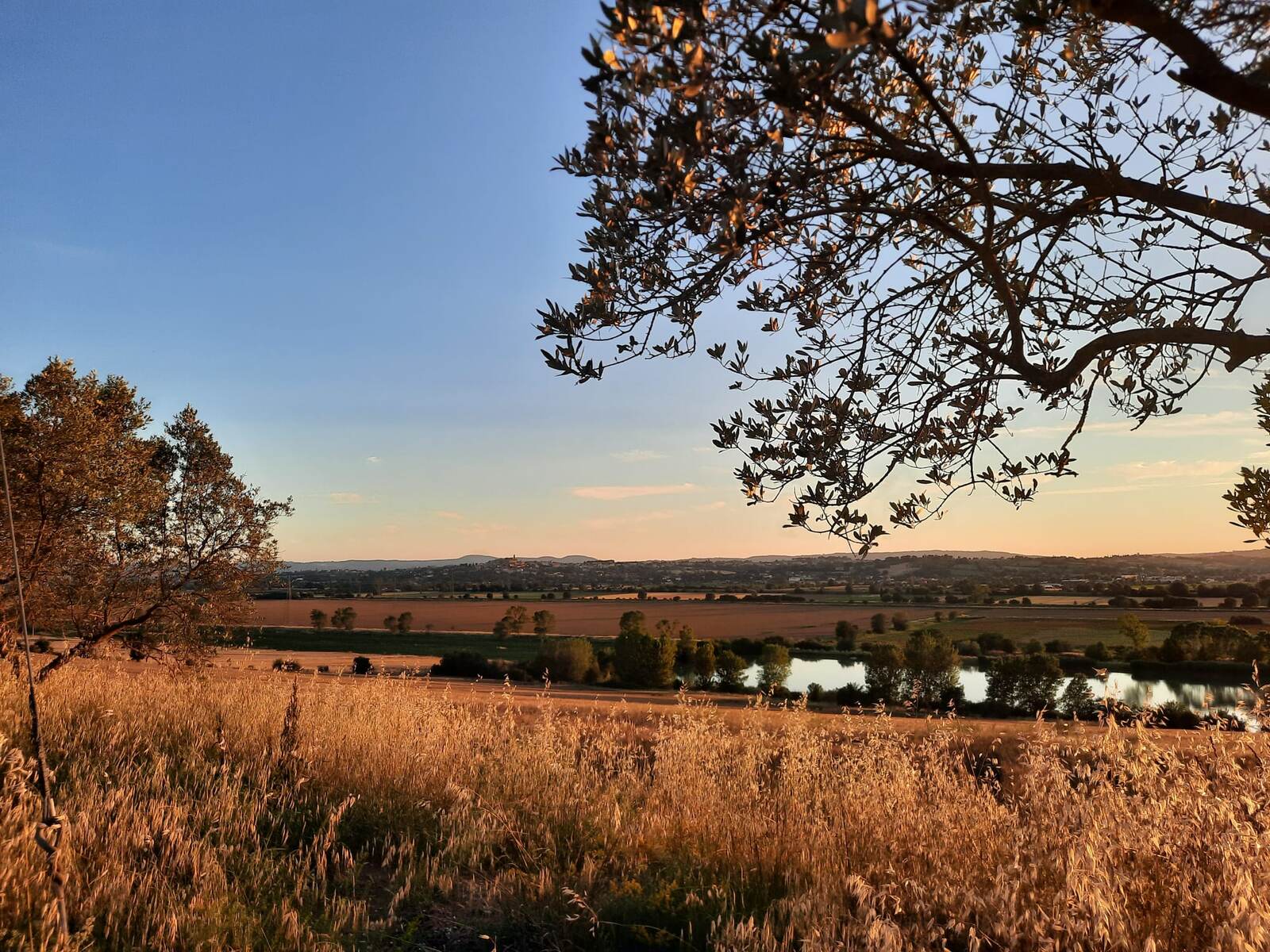 Panoramisch uitzicht over Toscane